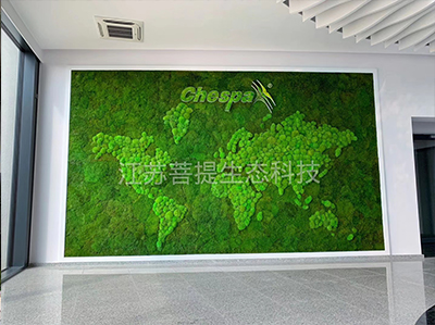 南京苔藓墙