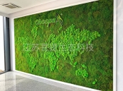 南京苔藓墙