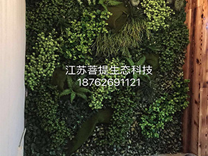 苏州植物墙